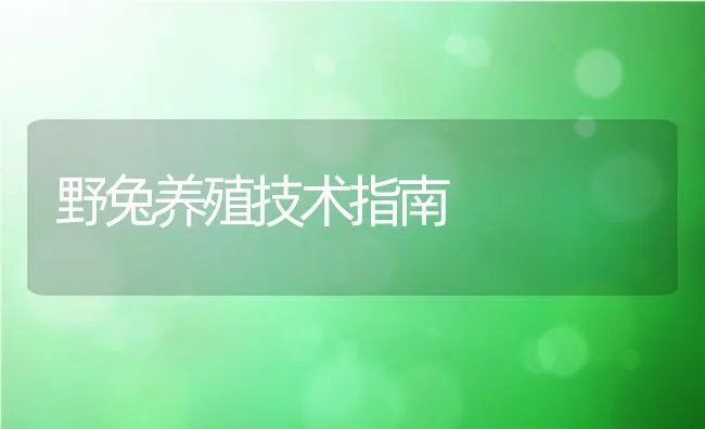 野兔养殖技术指南 | 动物养殖饲料