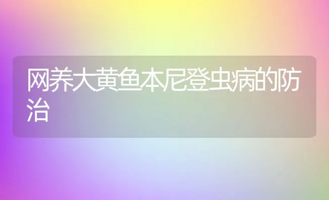 网养大黄鱼本尼登虫病的防治 | 水产养殖知识