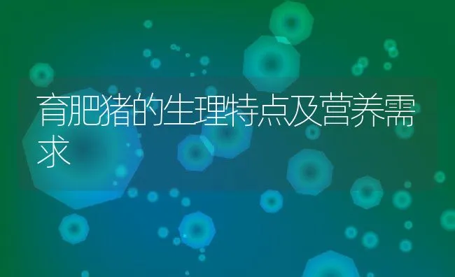 育肥猪的生理特点及营养需求 | 动物养殖饲料