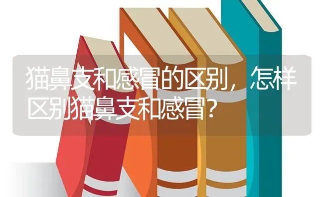 猫鼻支和感冒的区别，怎样区别猫鼻支和感冒？ | 动物养殖问答