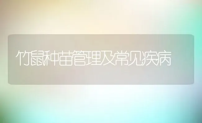 竹鼠种苗管理及常见疾病 | 动物养殖百科