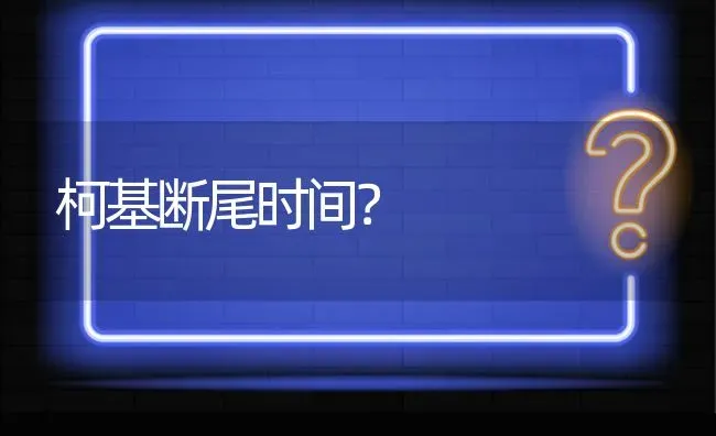 柯基断尾时间？ | 动物养殖问答