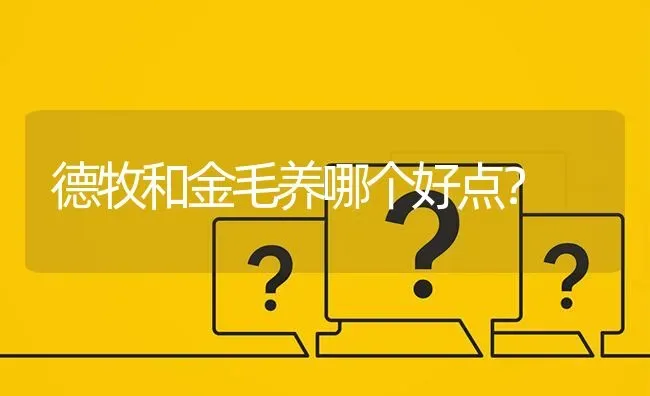 德牧和金毛养哪个好点？ | 动物养殖问答