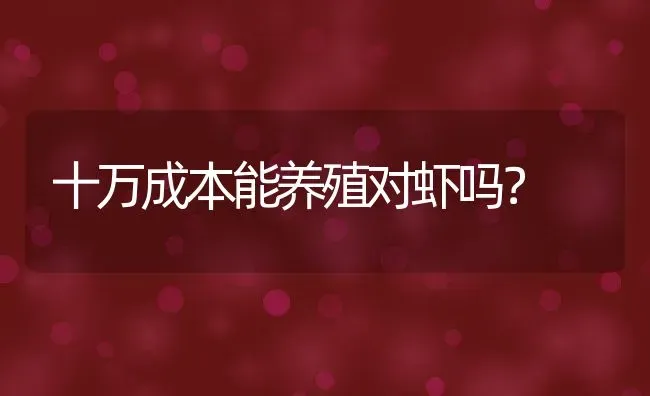 十万成本能养殖对虾吗？ | 动物养殖百科