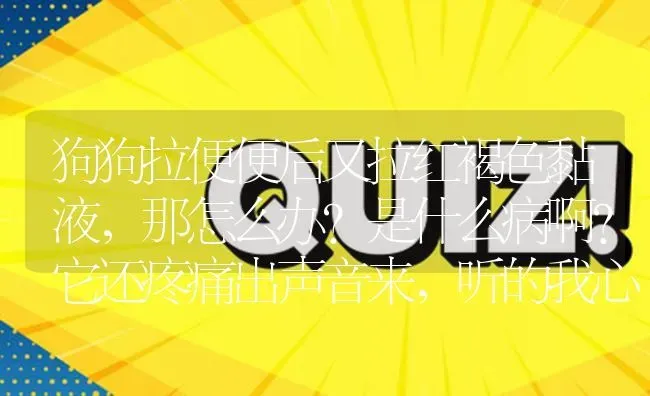 狗狗拉便便后又拉红褐色黏液，那怎么办?是什么病啊?它还疼痛出声音来，听的我心都疼!我给它吃了小犬益？ | 动物养殖问答