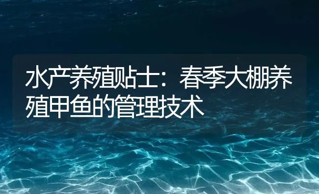 水产养殖贴士：春季大棚养殖甲鱼的管理技术 | 海水养殖技术