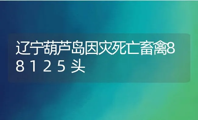 辽宁葫芦岛因灾死亡畜禽88125头 | 动物养殖饲料