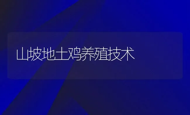 山坡地土鸡养殖技术 | 动物养殖教程