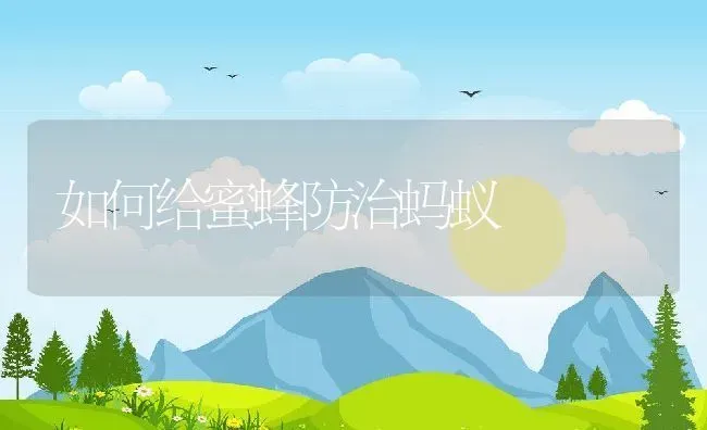 如何给蜜蜂防治蚂蚁 | 动物养殖百科