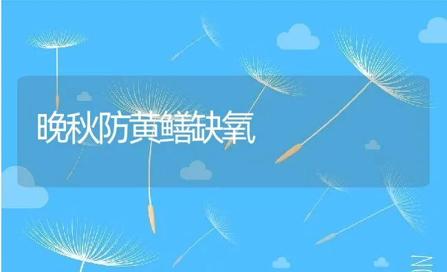 晚秋防黄鳝缺氧 | 动物养殖饲料