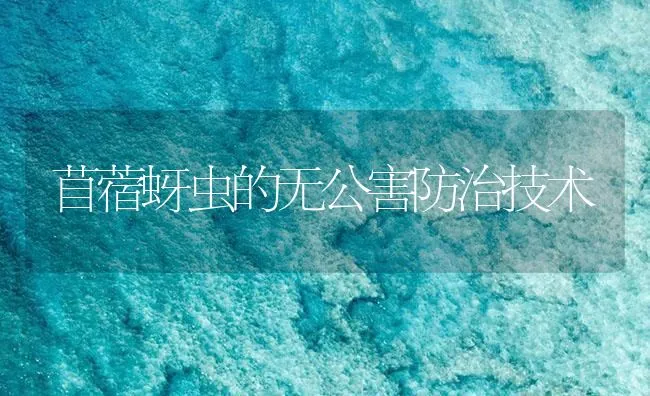 苜蓿蚜虫的无公害防治技术 | 海水养殖技术