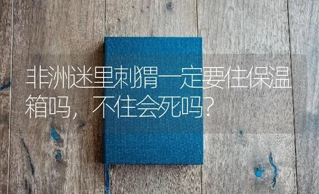 非洲迷里刺猬一定要住保温箱吗，不住会死吗？ | 动物养殖问答