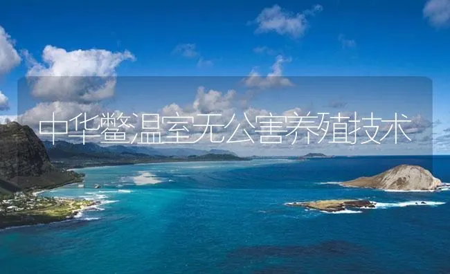 中华鳖温室无公害养殖技术 | 海水养殖技术