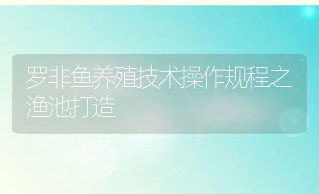 罗非鱼养殖技术操作规程之渔池打造 | 动物养殖饲料