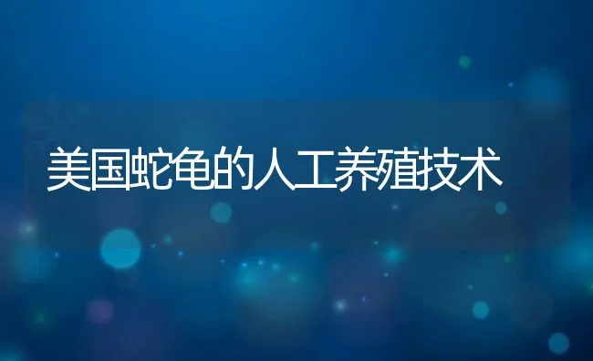 美国蛇龟的人工养殖技术 | 动物养殖饲料