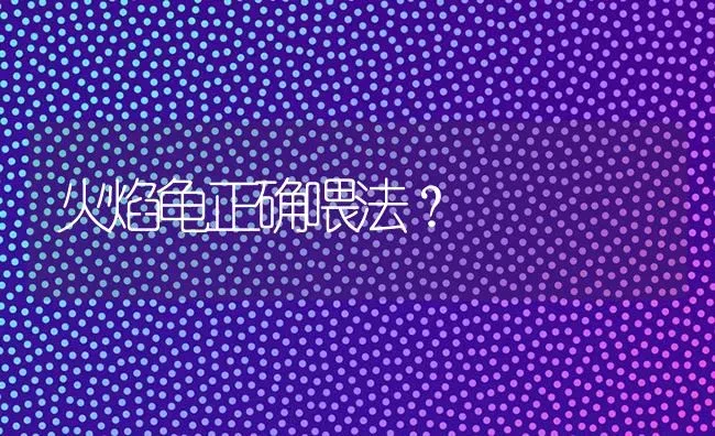 火焰龟正确喂法？ | 动物养殖问答