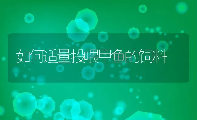 如何适量投喂甲鱼的饲料 | 水产养殖知识