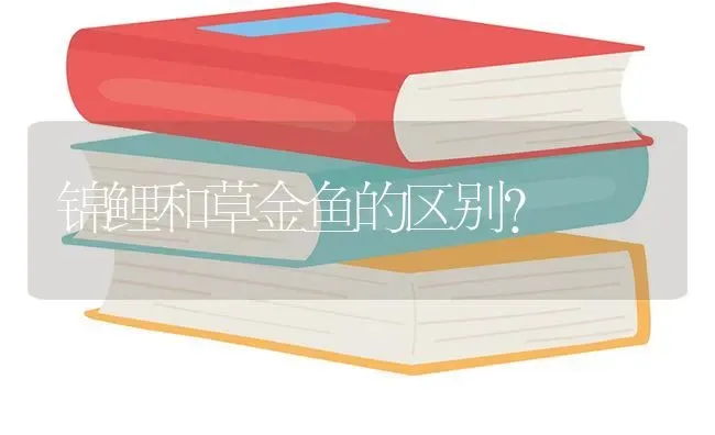 锦鲤和草金鱼的区别？ | 鱼类宠物饲养