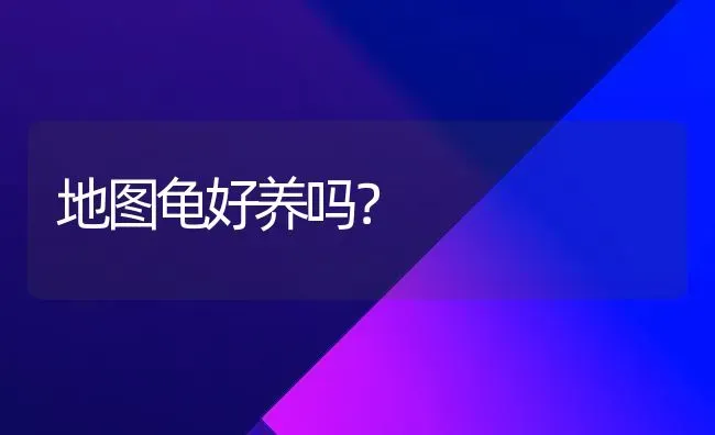 地图龟好养吗？ | 动物养殖问答