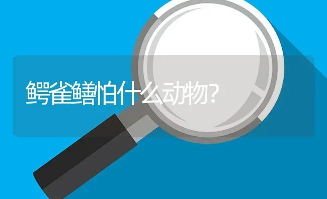 鳄雀鳝怕什么动物？ | 鱼类宠物饲养