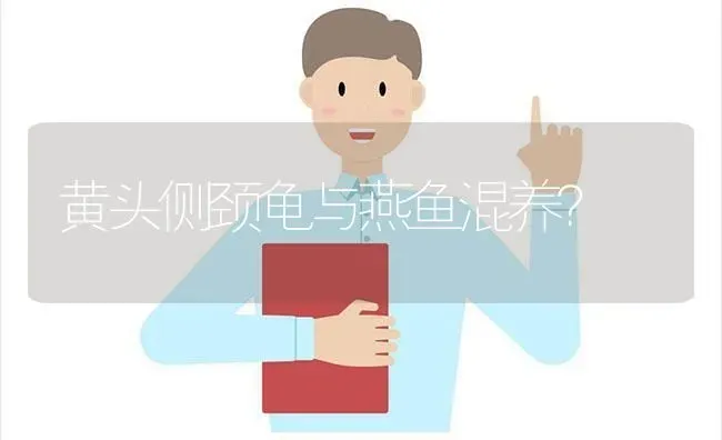 黄头侧颈龟与燕鱼混养？ | 动物养殖问答