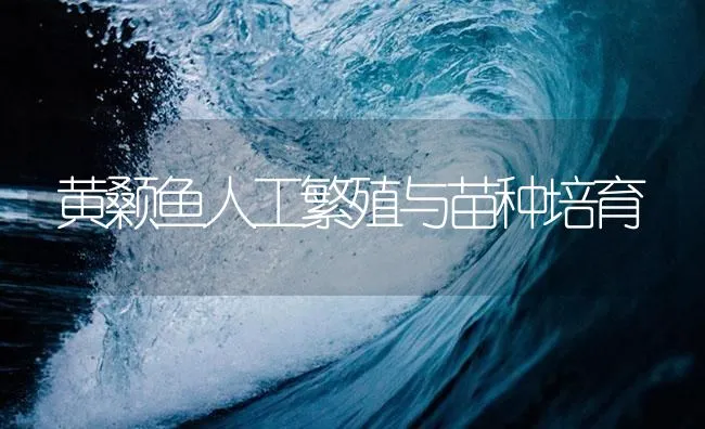 黄颡鱼人工繁殖与苗种培育 | 海水养殖技术