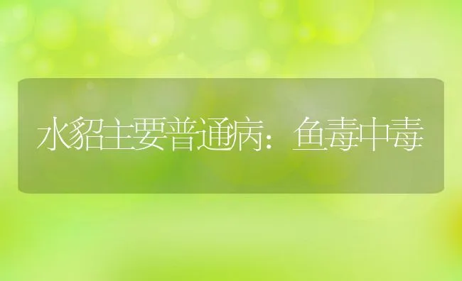 海水混养技术之围塘鱼贝混养高效技术(1) | 海水养殖技术