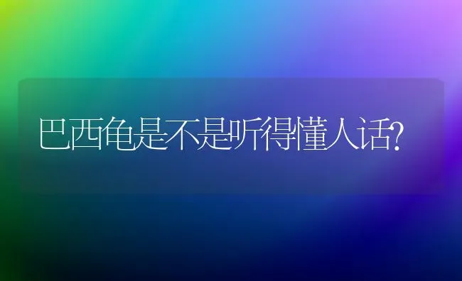 巴西龟是不是听得懂人话？ | 动物养殖问答