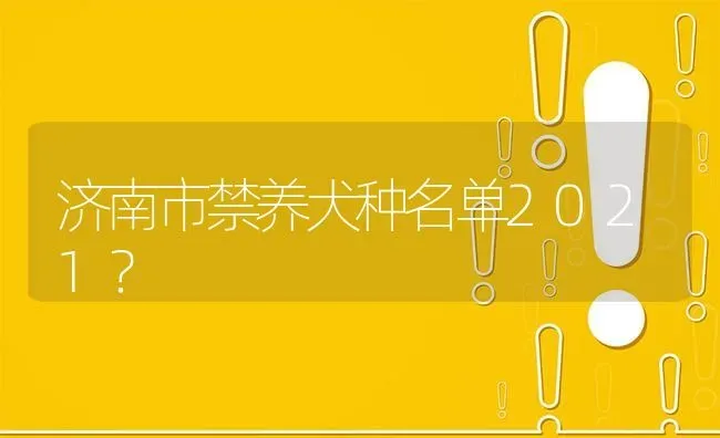 济南市禁养犬种名单2021？ | 动物养殖问答