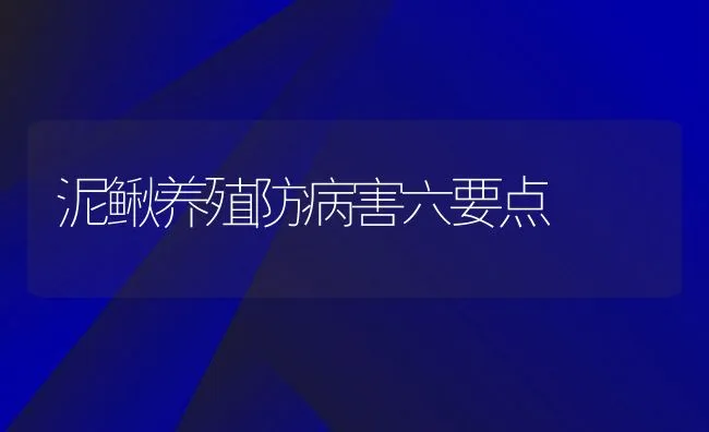 泥鳅养殖防病害六要点 | 水产养殖知识