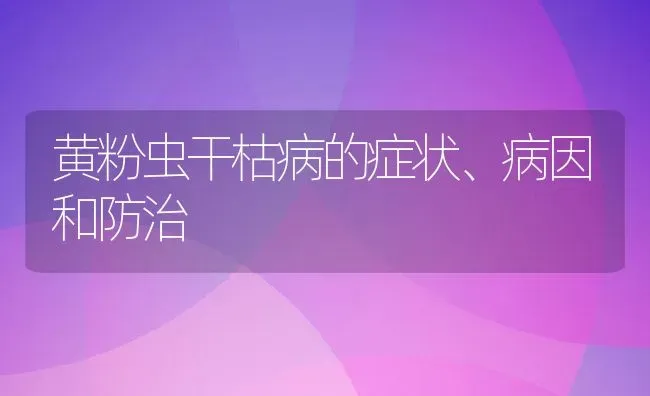 黄粉虫干枯病的症状、病因和防治 | 动物养殖百科