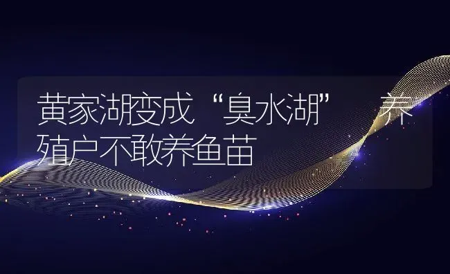 黄家湖变成“臭水湖” 养殖户不敢养鱼苗 | 动物养殖教程