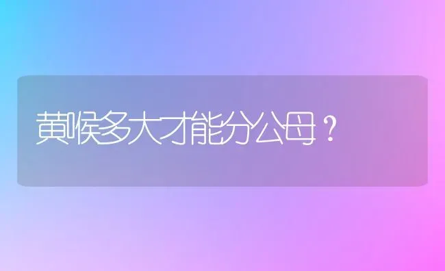 黄喉多大才能分公母？ | 动物养殖问答