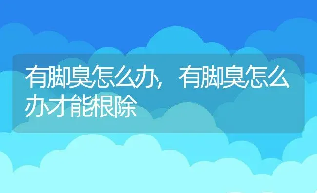 有脚臭怎么办,有脚臭怎么办才能根除 | 宠物百科知识