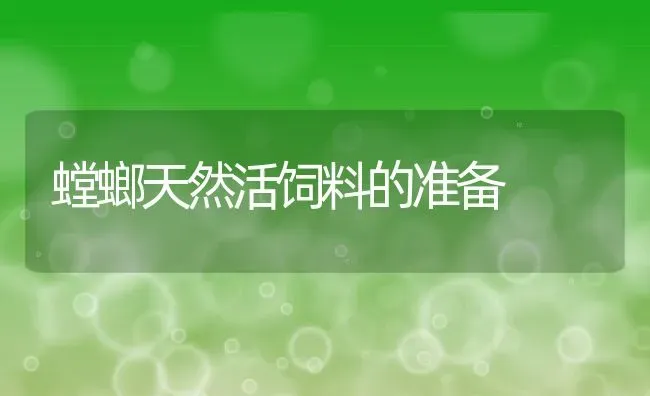 螳螂天然活饲料的准备 | 动物养殖教程