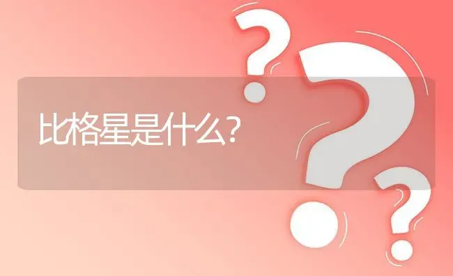 比格星是什么？ | 动物养殖问答