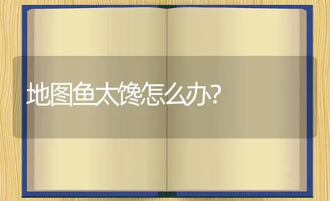 地图鱼太馋怎么办？ | 鱼类宠物饲养