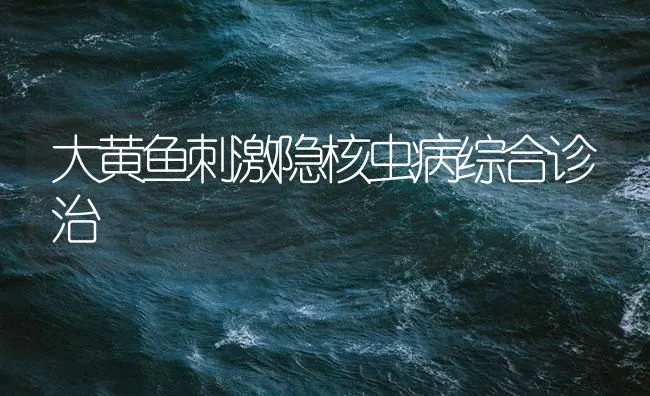 大黄鱼刺激隐核虫病综合诊治 | 海水养殖技术