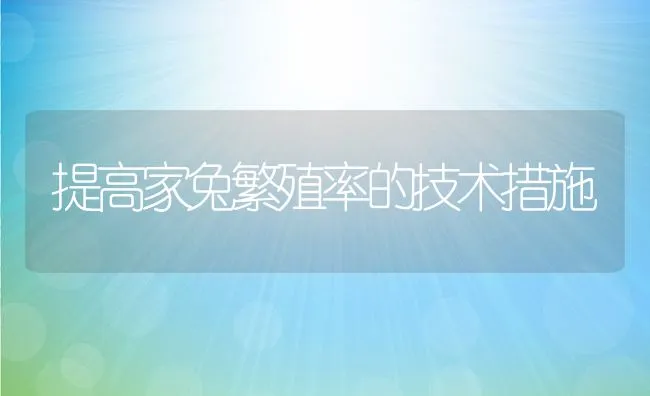 提高家兔繁殖率的技术措施 | 动物养殖学堂