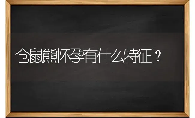 仓鼠熊怀孕有什么特征？ | 动物养殖问答