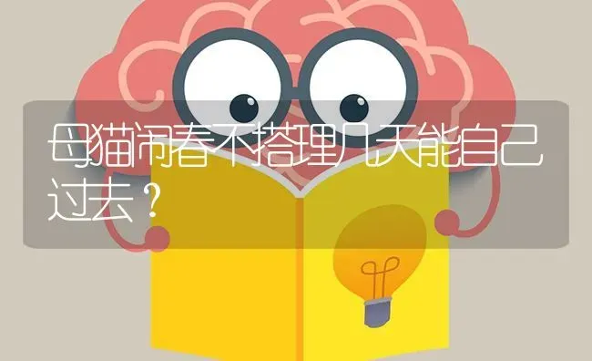 小狗吃骨头后便血怎么办?精神还不错？ | 动物养殖问答