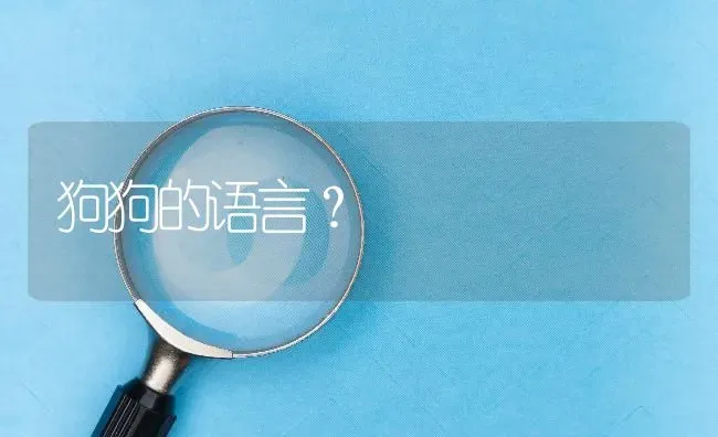 拉布拉多的个头到底比金毛大还是小？ | 动物养殖问答