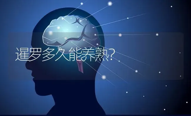 请问办了狗证的狗狗丢失后怎么办？ | 动物养殖问答