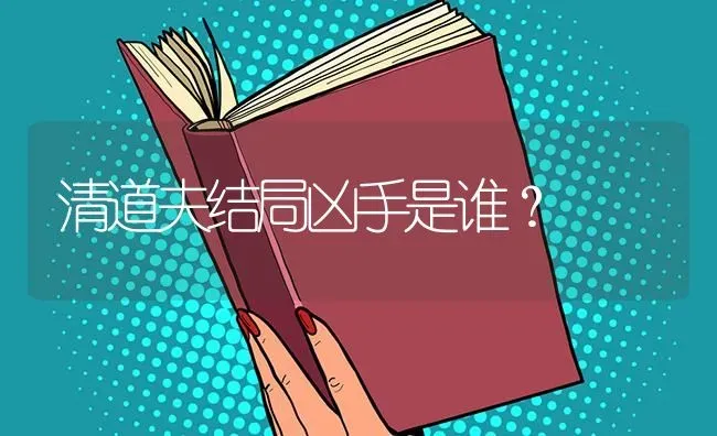 清道夫结局凶手是谁？ | 鱼类宠物饲养