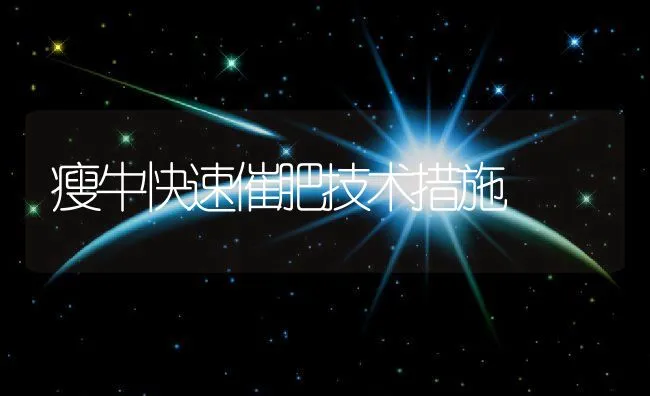 瘦牛快速催肥技术措施 | 动物养殖饲料