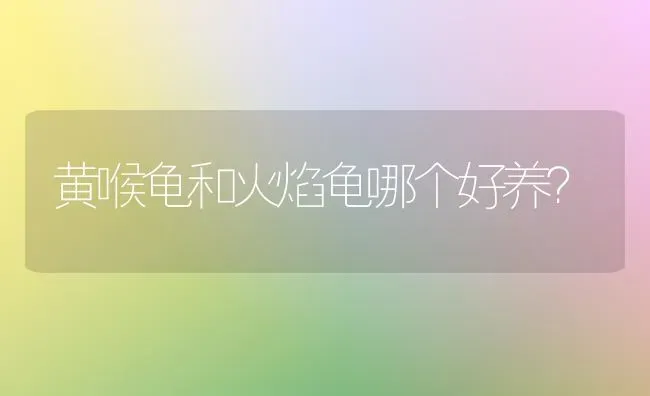 黄喉龟和火焰龟哪个好养？ | 动物养殖问答