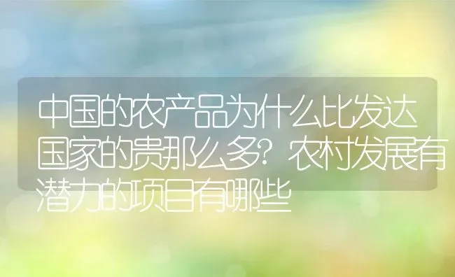 中国的农产品为什么比发达国家的贵那么多?农村发展有潜力的项目有哪些 | 动物养殖百科