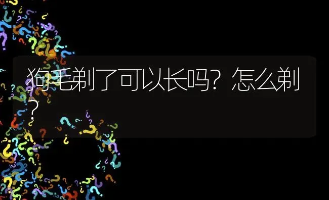 狗毛剃了可以长吗？怎么剃？ | 动物养殖问答