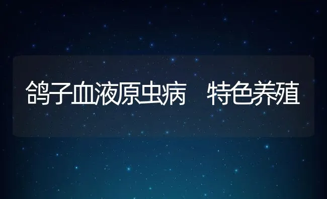 鸽子血液原虫病 特色养殖 | 水产养殖知识