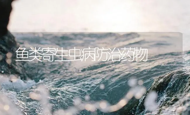 鱼类寄生虫病防治药物 | 海水养殖技术